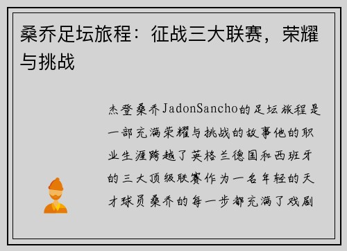 桑乔足坛旅程：征战三大联赛，荣耀与挑战