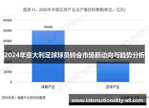 2024年意大利足球球员转会市场新动向与趋势分析